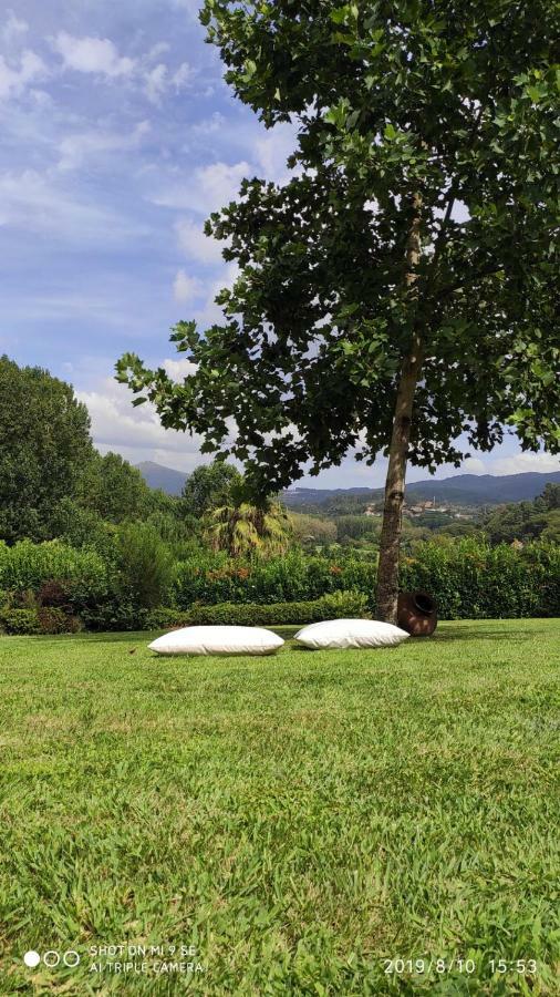 Quinta Da Vinha Do Souto Villa Арока Екстериор снимка